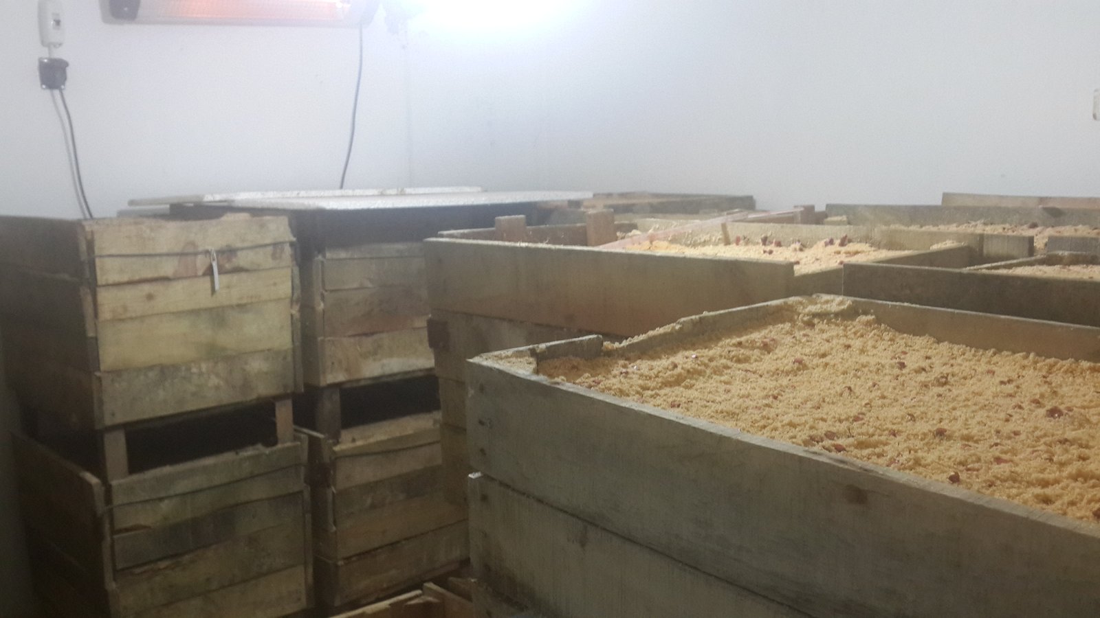 Kaynaştırma Safhası