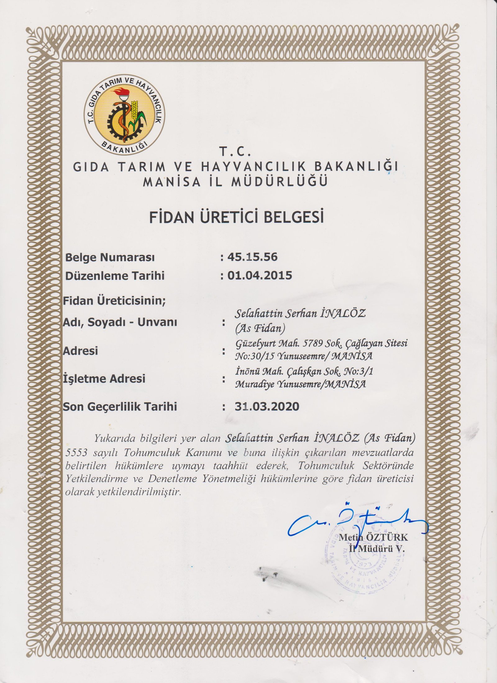 As Fidan - Asma Fidancılığı