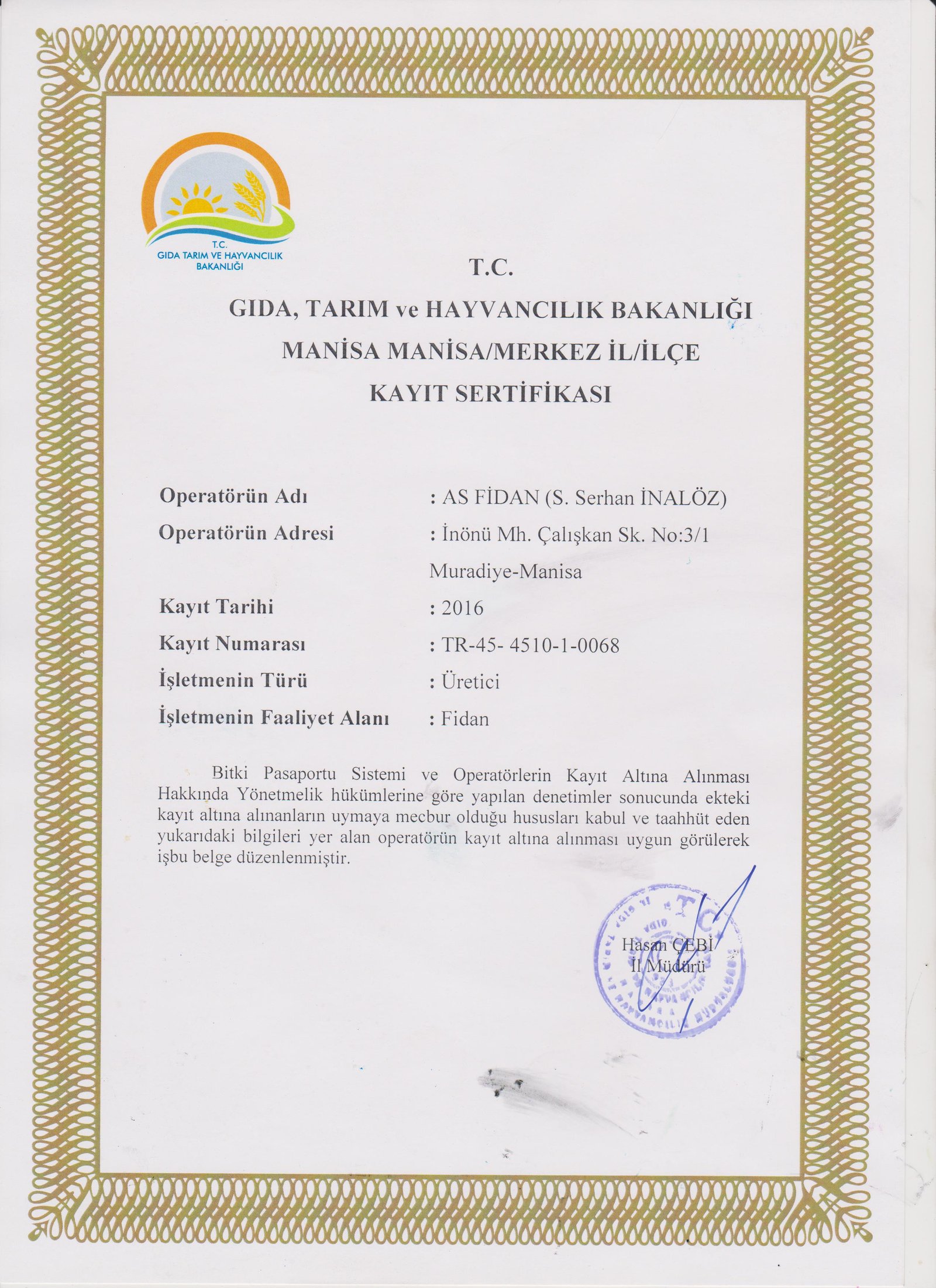 As Fidan - Asma Fidancılığı