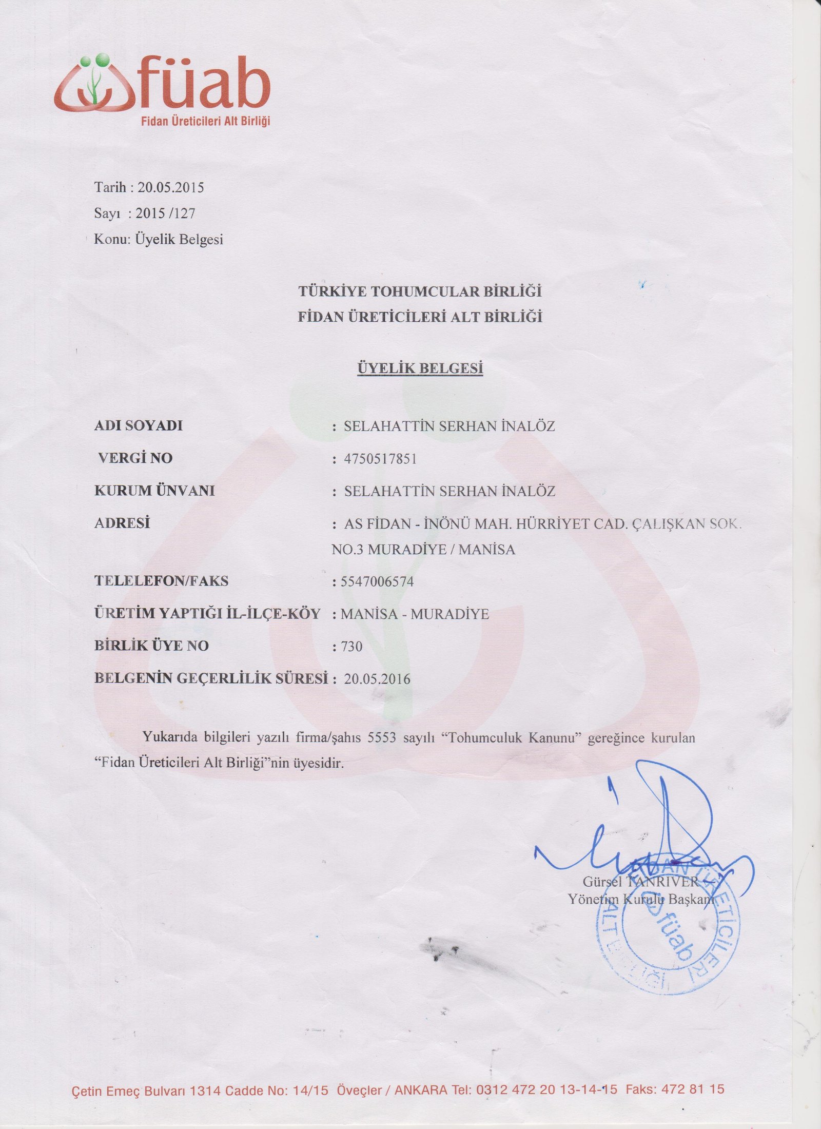 As Fidan - Asma Fidancılığı